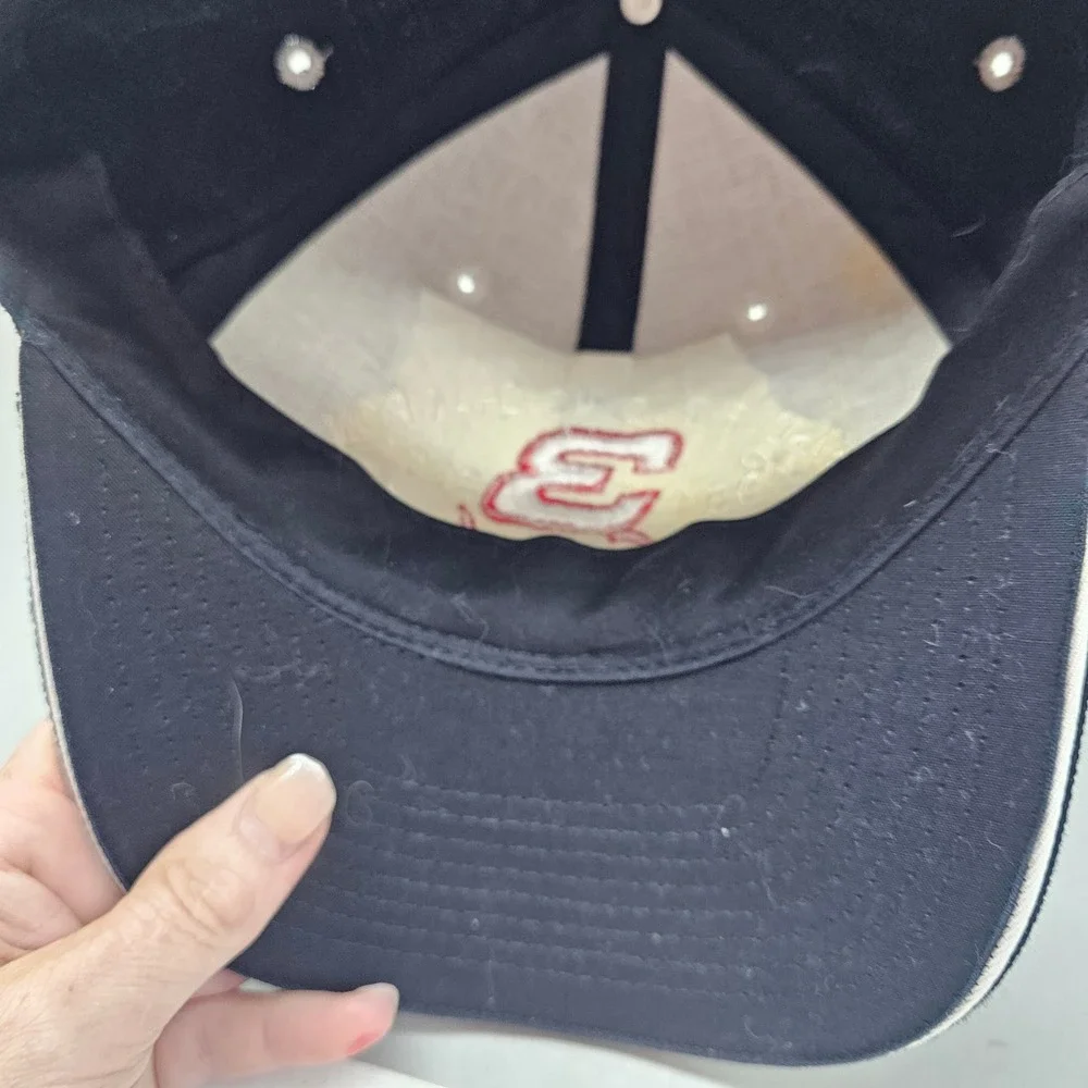 Vintage Dale Earnhardt NASCAR Racing Champion Hat Black #3 1951-2001 Adjustable